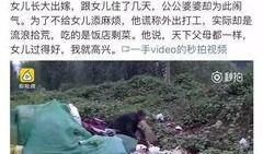 砀山最新事件爆料视频大全,多角度还原现场，真相揭晓