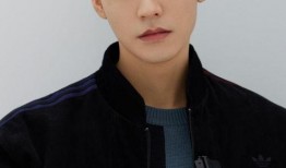 娱乐圈龚俊爆料事件,真相与争议交织的幕后故事